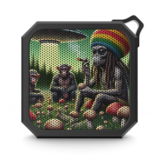 Blackwater Outdoor Bluetooth Speaker